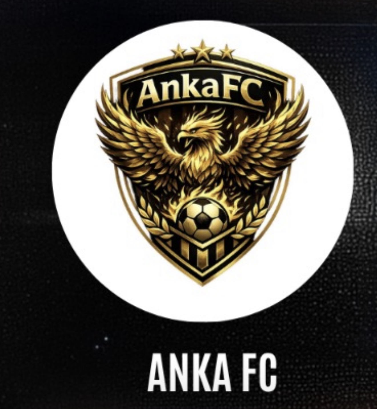 ANKA FC