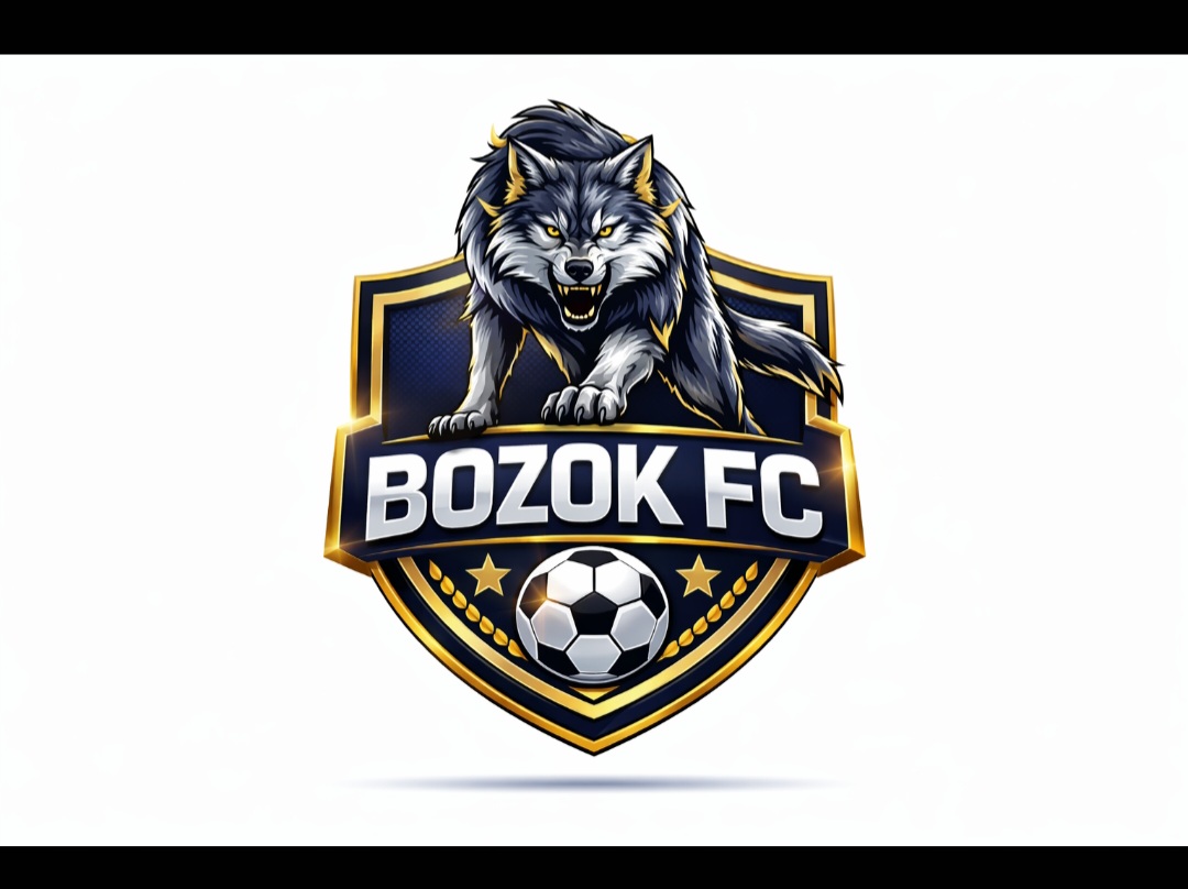 BOZOK FC